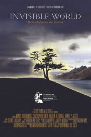 Invisible World